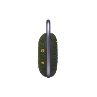 Clip 4 Verde 3