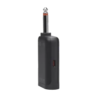 JBL PartyBox WIRELESS Mic Set 9