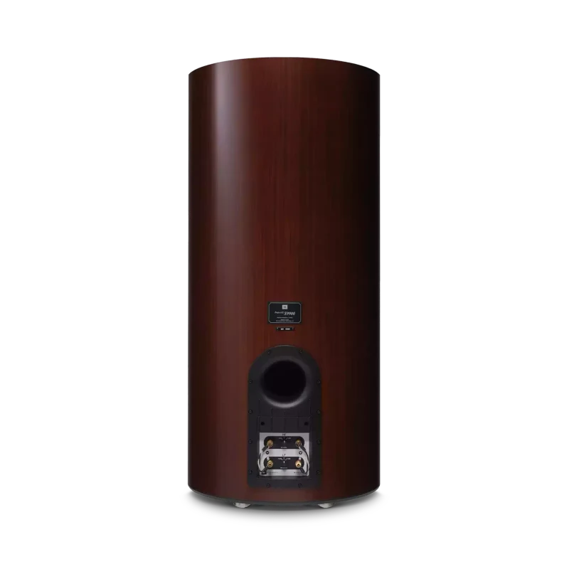 Project K2 S9900 (Пара) 2