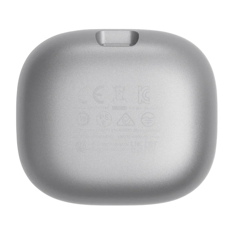 JBL Live Flex Silver 5