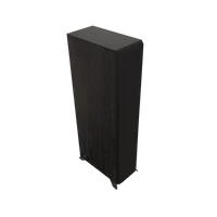RP-5000F II (Pereche) 3