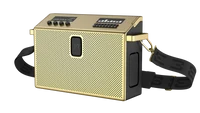 BT Speaker Large Brass 2