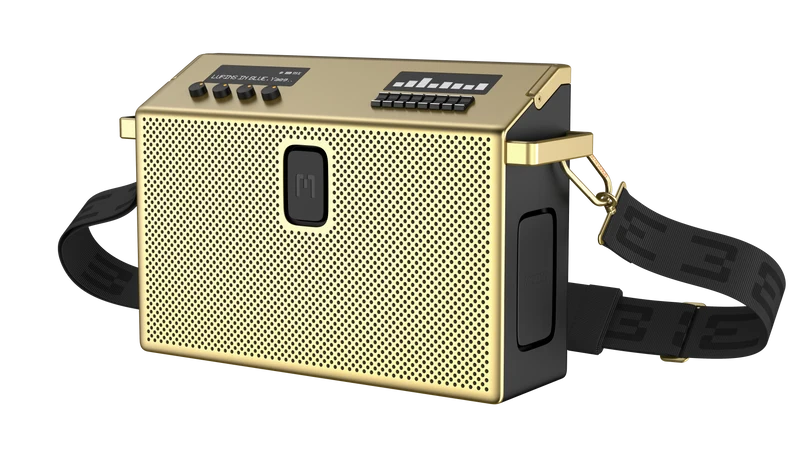 BT Speaker Large Brass 2