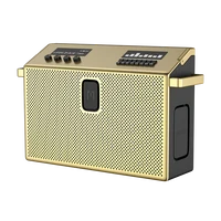BT Speaker Large Brass