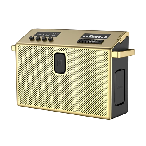 BT Speaker Large Brass