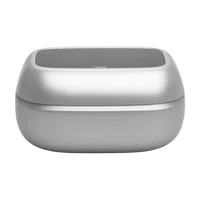 JBL Live Buds 4 Silver 8