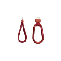 JBL Flip 7 Red 9