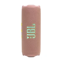 JBL Flip 7 Pink