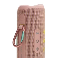 JBL Flip 7 Pink 9