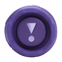 JBL Flip 7 Purple 8