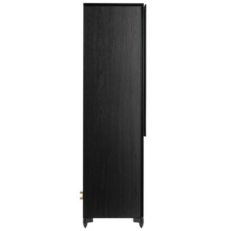 Aurora XT 700 Black / Oak 2