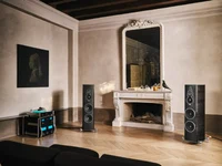 Sonus Faber Amati Folgore (Пара) 2