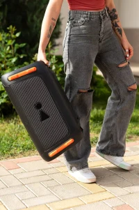 JBL PartyBox 110 2